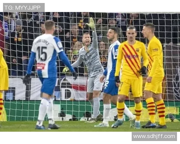 法国足球队球星是否已经退役分析及未来发展趋势探讨